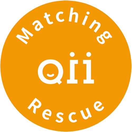 Matching Q11 Rescue